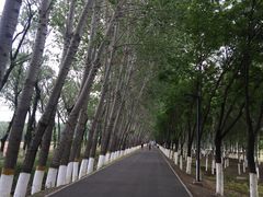 -东郊湿地公园