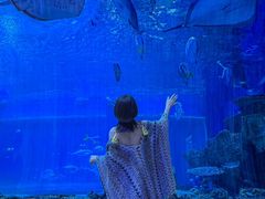 -华夏文旅海洋公园