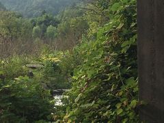 -常德桃花源景区