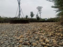 -大湾区中央湿地公园