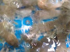 -蓝珊甄选海鲜自助·火锅大排档(近阿那亚店)