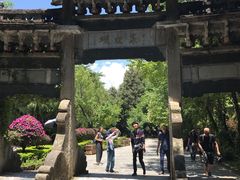 -蝴蝶泉公园