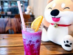 -柴源莊·柴小宠柴犬咖啡