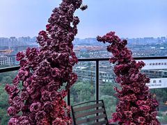 -烛影拾光观景餐厅·创意菜·摄影·小提琴(大唐不夜城店)