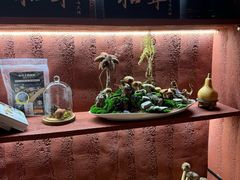 -滇野云南野生菌餐厅(陕西南路店)