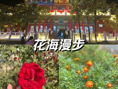 -曹州牡丹园