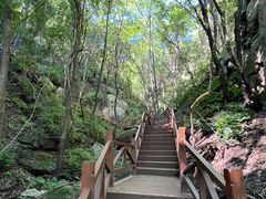 -大岭沟猕猴桃谷风景区