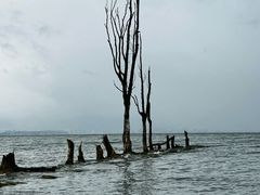 -大理洱海