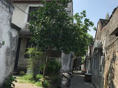-乌镇东栅景区