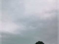 -大屏嶂森林公园