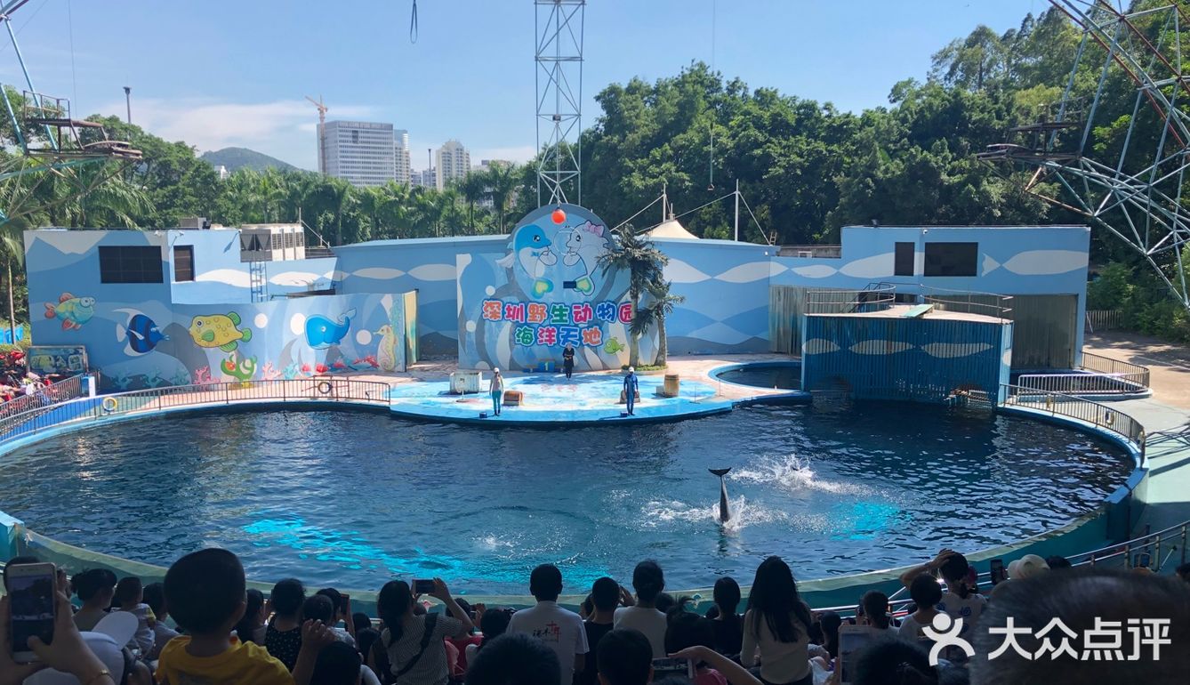 呼吸着富含氧气的干净空气，吹着树林的风