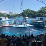 呼吸着富含氧气的干净空气，吹着树林的风