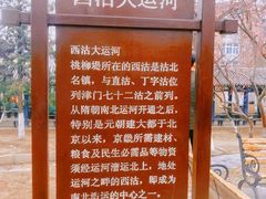 -桃花堤公园