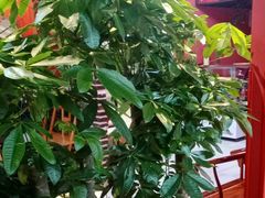-秋金小炒·特色川菜(大洋店)