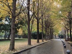-西南交通大学(九里校区)