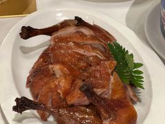 -圆苑(金茂店)
