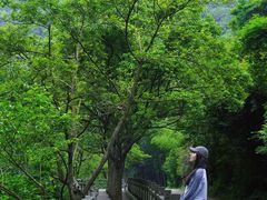 -宁波五龙潭景区