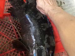 -巽东海鲜大排档(巽寮湾店)