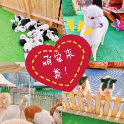 -萌宠亲子动物乐园(槐房万达店)