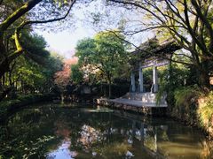 -杭州花家山庄