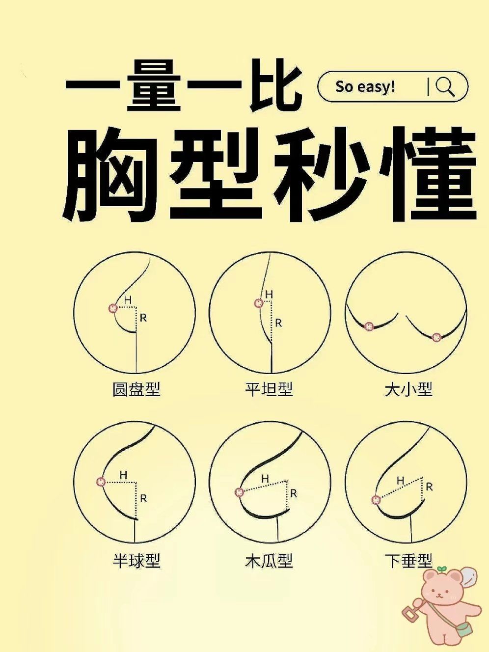 各种胸型秒懂