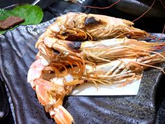 阿根廷红虾-炭虎烤肉(桂林路店)