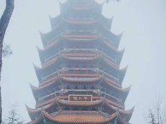 -铁山坪森林公园