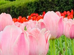 -长春公园(普阳街道)