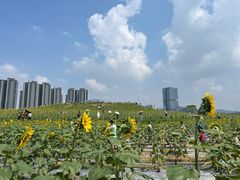-光明小镇欢乐田园