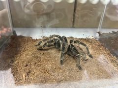 -三旗百汇商品城