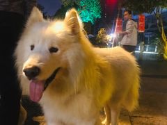 -归觅·西关小姐人文艺术馆(荔枝湾店)