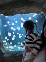 -Zoolung Zoolung动物主题公园(海信广场店)