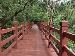 -广州白江湖森林公园