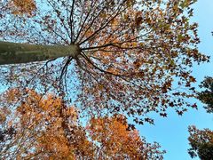 -河南省黄河迎宾馆