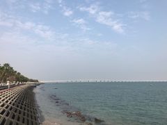 -集美鳌园景区