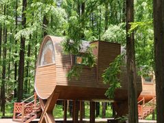 -黄海国家森林公园