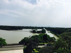 -大湾区中央湿地公园
