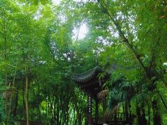 -凤栖山