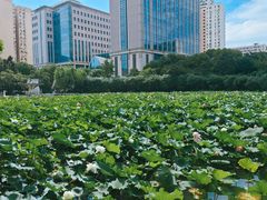 -黄兴公园