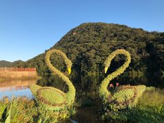 -广州市石门国家森林公园