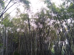 -晓港公园