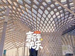-华润深圳湾体育中心-“春茧” 体育馆
