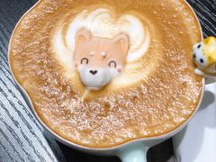 -逗柴咖啡屋·狗咖猫咖宠物桌游