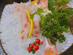 -九州酒场ひこぞう(1号店)