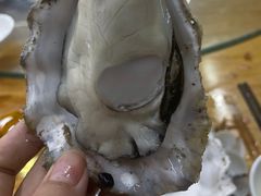 -蚝得喜海鲜(东城店)