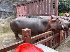 -贵州森林野生动物园