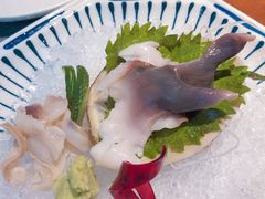 鲜北极贝刺身-森味薪火烧•烧鸟居酒屋•日本料理(望京店)
