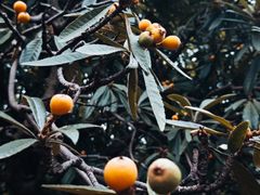 -镇江润扬大桥酒店