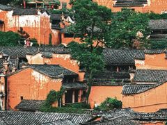 -杨家堂村