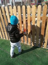 -萌宠亲子动物乐园(槐房万达店)